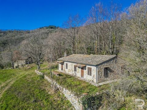 This rustico represents a rare opportunity to acquire a home that blends harmoniously into its natural surroundings and yet offers enough space for expansion and personalization. The main building, although in need of partial renovation, was given a ...