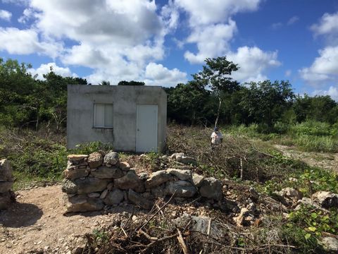 ACQUIRE A PLOT OF LAND FOR YOUR COUNTRY HOUSE! Excellent opportunity to have your country house, away from urban noise, where you can live with tranquility, 40min. from MERIDA. This land is located in the municipality of Hunucma, It measures 600m2 (1...