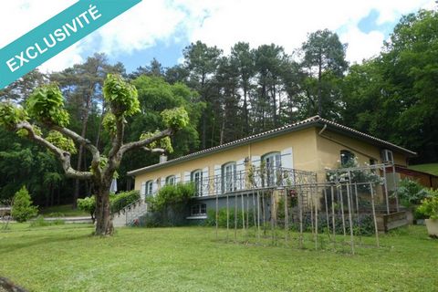 Located in Saint Astier, 1/4 hour from Périgueux, 1 hour 15 minutes from Bordeaux, 2 km from the A 89 access and the SNCF station, Come and discover this beautiful property built on a crawl space and on wooded land of 10,360 m2 with a magnificent dom...