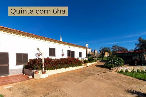 Property with 62.040 sqm of land and house with 4 bedrooms . Land partly flat and partly on the slope with a water bore hole with a draft of 18.000 l/h . There are several annexes facilities for various animals. In this property is a 4 bedrooms villa...