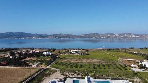 Un terrain de 1793 m² est proposé à la vente à Kampos, Paros. La propriété est située dans la partie sud-ouest de l’île, offrant une vue imprenable sur le coucher du soleil, tout en décrivant le canal entre Paros et Antiparos. C’est un quartier prest...