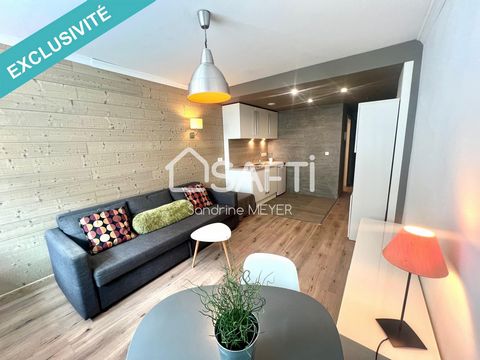 Very attractive 27 m² studio near Place de l'Etoile in Strasbourg. Ideally located close to a bus stop, a few minutes by bike from the university campus, direct freeway access, close to all amenities. It comprises an entrance hall with cupboard, a sh...