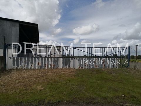 Industrial building with outdoor space in Pegões We present this fantastic acquisition opportunity to set up your business. Located in Foros do Trapo - Pegões, the property consists of an industrial building measuring 1,650m2 on a plot of land measur...
