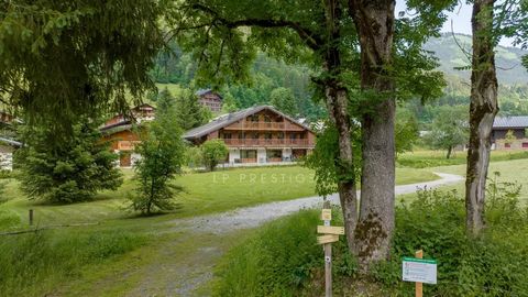 Charming chalet of 460 m² in Châtel on a plot of 1'640m2 in the heart of the Portes du Soleil ski area. The chalet has a large capacity for rental investment (up to 45 people) or for a family project, with its 12 bedrooms, including 6 PRM served by a...