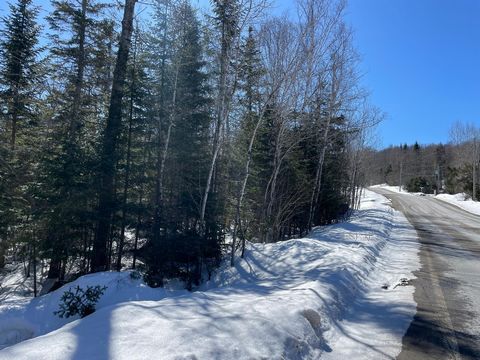 24.6 acres of wooded land only 7 minute drive from Morin-Heights (school, day cares, IGA, pharmacy, library, cafes and restaurants, golf ++). Close to Lac St-Francois-Xavier lake with the public beach and the aerobic corridor (running, biking, hiking...