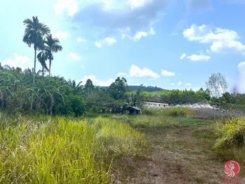 Entdecken Sie die beste Gelegenheit: 5 Rai Grundstücke zum Verkauf mit Bergblick in Tha Yu, Phangnga. Eingebettet im Herzen von Tha Yu liegt ein seltenes Angebot eines weitläufigen 5-Rai-Grundstücks mit Panoramablick auf die Berge und einer beneidens...