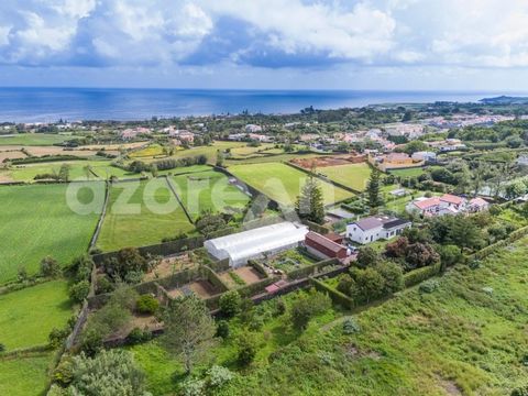 This charming and unique property in São Vicente Ferreira not only offers breathtaking views of the sea on the north coast, but also provides a multitude of amenities for you and yours, always taking into account sustainability and harmony with natur...