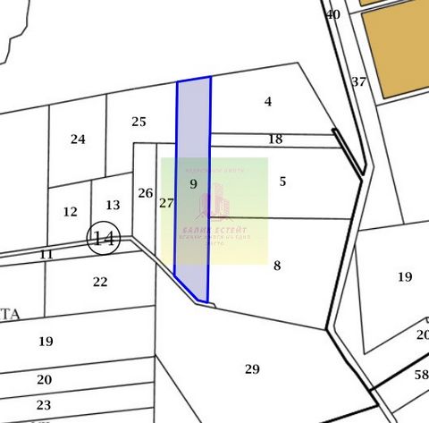 См. 2991 деревня Батово, Добричский район BALIK ESTATE продает земельный участок в урбанизированном районе площадью 6999 м², расположенный в деревне Батово, Добричский район. Цена: 24 031 евро Для получения дополнительной информации не стесняйтесь об...