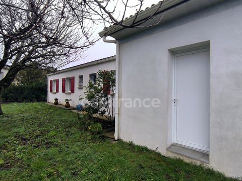 photo no. 2
