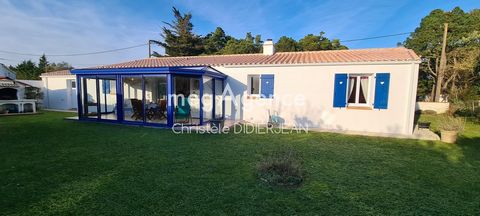 photo no. 12