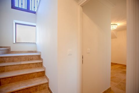 photo no. 12