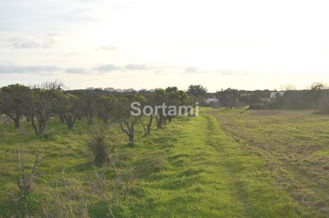 Rustikales Land in Albufeira Ausgezeichnete Gelegenheit, dieses Land von ziemlich beträchtlicher Fläche, befindet sich in der Gegend von Vale Carro. Mit 7600 m2 hat es einen ausgezeichneten Zugang, zwei geteerte Straßen und liegt sehr nahe am Wohngeb...