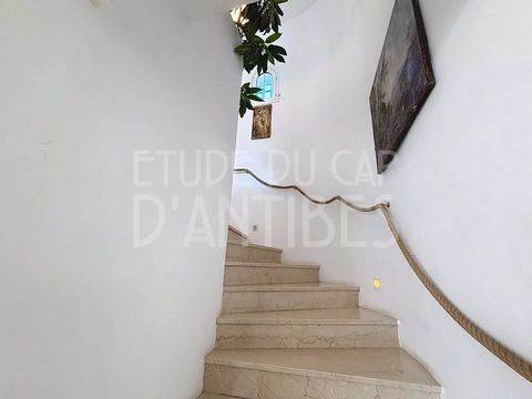 photo no. 12