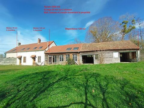 Este molino, situado en una aldea a 30 minutos de Nevers, se compone de 2 casas, dependencias, un arroyo, un terreno y una vista despejada. 1ª casa (128 m2): - En la planta baja: salón, cocina, dormitorio, cuarto de baño + WC - En la 1ª planta: 2 dor...