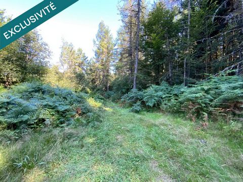 Sur la commune du Tholy , terrain non constructible de 1, 5 hectares environ , proche des axes routier et de zones urbanisées avec eau et électricité à proximité . Situation au calme avec expo sud-est . Nombreux arbres résineux sur le terrain , vendu...