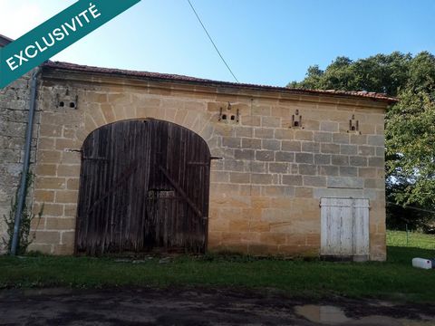 photo no. 4
