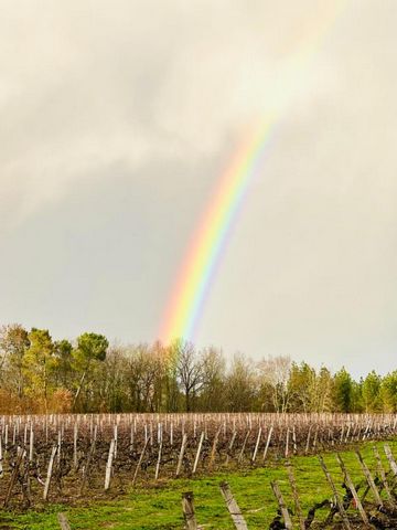 A vendre propriété d'exception au coeur du Médoc. Nichée sur les prestigieuses appellations Haut Médoc et Saint-Estèphe cette magnifique propriété viticole en Cru Bourgeois, est une véritable perle rare. S'étendant sur 16 hectares, dont 9 hectares de...