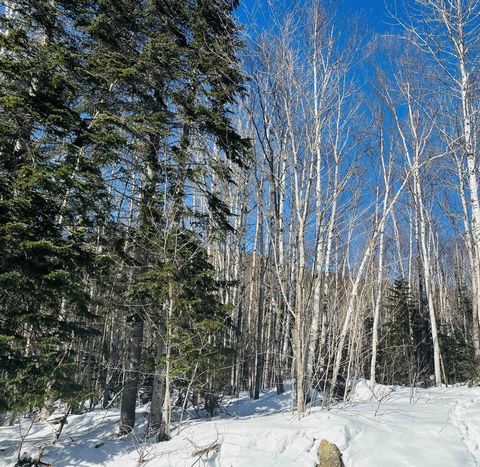 Terrain boisé niché dans un secteur paisible, en pleine nature. Offrez-vous un coin de paradis à seulement 15 min. du Massif de Charlevoix et des principales attractions touristiques. Que ce soit pour y construire votre propriété de rêve ou simplemen...