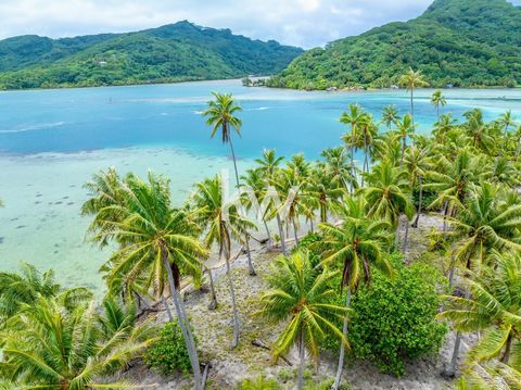 Welcome to heaven on earth! I am pleased to present this exceptional opportunity to acquire your own private island located in the heart of the lagoon of beautiful Huahine, French Polynesia. With its coconut-lined land, pristine beaches and crystal c...