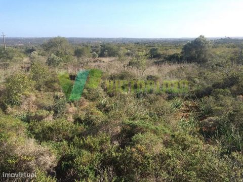 Rustikales Grundstück in Silves mit einer Fläche von 10.520 m², mit kleinem Gefälle, mit Licht auf 300 Metern und einem Loch, für das das Wasser gebohrt werden muss. REF LT-308 Rustikales Grundstück in Silves mit einer Fläche von 10.520 m², mit klein...