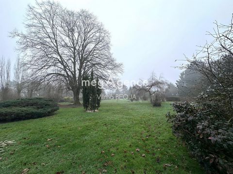 photo no. 16
