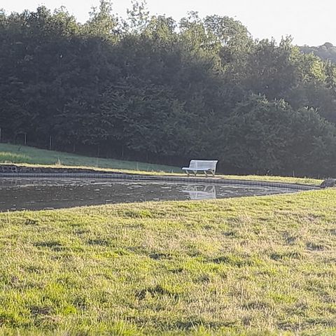 photo no. 4