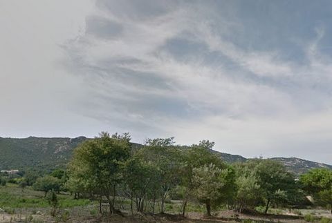 Vente d'un terrain à Calvi vue montagne de 2150 m2 Route de Pietramaggiore, secteur résidentiel, possibilité de construire une villa de 500 m2 ou deux villas de 250 m2, collectif non autorisé par le vendeur.