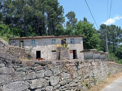 Casa de Pedra para Restauro – Um Refúgio de Charme na Natureza ✨ Imagine-se a viver numa aldeia encantadora, onde a serenidade da natureza se funde com a riqueza da história. Esta ruína em pedra, com projeto aprovado para restauro, é a oportunidade p...