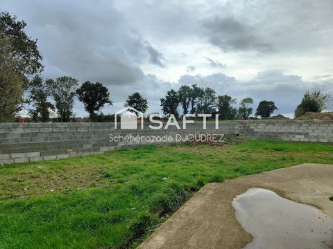 photo no. 6