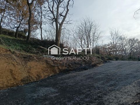 photo no. 1