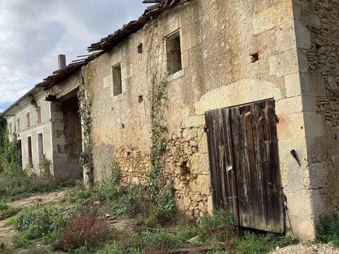 belle bâtisse charentaise à rénové entièrement sur un terrain de 1760 m2 environ 400 m2 de bâtisse