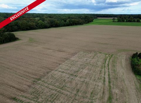 Terrain constructible 1150m2