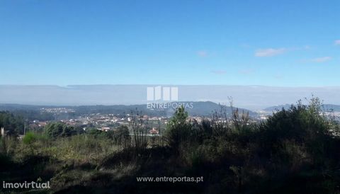 Sale of forest land, Vila Franca, Viana do Castelo. With good access and great views of the river and city. Ref.:VCM13132 FEATURES: Plot Area: 9,785 m2 Area: 9 785 m2 Area: 9 785 m2 Energy Efficiency: Exempt ENTREPORTAS Founded in 2004, the ENTREPORT...