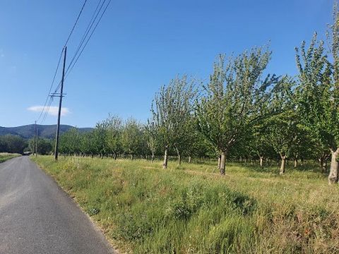 Agricultural land with olive trees surface 1 hectare 134 m² waters with canal at the edge of land , EDF post near land,.. Selling price 86000 euros agency fees charged to the seller. Mandate reference number 332215 CONTACT HICHAM DGHOUGHI ACTING UNDE...