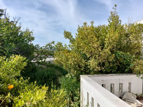 Ziros, Sitia, Creta orientale: Casa in pietra pronta con giardino, a 9 km dal mare. La casa è di 110 mq composta da un ingresso, una zona cucina soggiorno open space, tre camere da letto e un bagno. Si trova su un terreno di 220m2. C'è un balcone e u...
