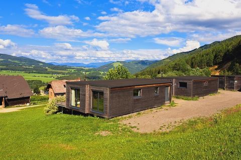 A real experience in both winter and summer: the lofts in the Gaal holiday park. Whether hiking, cycling or a day at the bathing lake, you will never be bored here in Gaal. The holiday apartments in the best location, directly on the ski slope and in...
