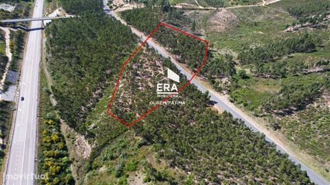 Land with eucalyptus, with an area of 13000m2, located 2 minutes from the access node to IC9, being 10 minutes from Tomar, 19 minutes from Ferreira do Zêzere, 25 minutes from Batalha and 30 minutes from Pombal. In addition, the land is located 15 min...