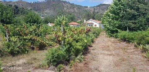 Land for construction with 11,513 m2 in Celorico de Basto Land with 11,513 m2 for construction with: Garage Spring water, Plan Good hits Municipality of Celorico de Basto To the north, the municipality is crossed by the A7/IC5, allowing through the k...