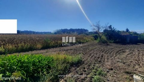 Sale of land in a construction area about 35 meters in front of 35 meters deep. With good access, 7 minutes from the metro and 10 minutes from the city center of Vila do Conde. Located in the parish of Tougues, Vila do Conde. Ref.: VC03540 . FEATURES...