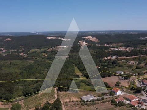 Farm with approximately 33,000 m2. With great potential for agricultural, rural tourism or ecotourism. Located in Mallorga, Alcobaça, at the gates of the historic city of Alcobaça, close to several points of tourist interest: beaches of Nazaré and Sã...