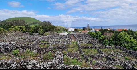 Dream House! Build your dream home! It is a plot of land located in one of the preferred areas of the island of Terceira, Porto Martins. With an area of 3872 m2, and a front of 30 meters, with excellent sea and mountain views, close to bathing areas,...