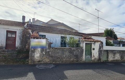 House T2 with a total area of 56 m2, located in Aljubarrota, municipality of Alcobaça, district of Leiria. Area with reasonable accessibility, next to the N242 and close to motorways (10 minutes from the A8, 21 minutes from the IC9 junction). The pro...