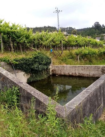 Terreno de 2860m2, localizado em Sande, Marco de Canaveses, situado numa zona urbana, passível de construção, atualmente encontra-se ocupado com uma vinha de produção de vinho verde, a 5 minutos do Rio Douro e da Barragem de Carrapatelo, a 45 minutos...