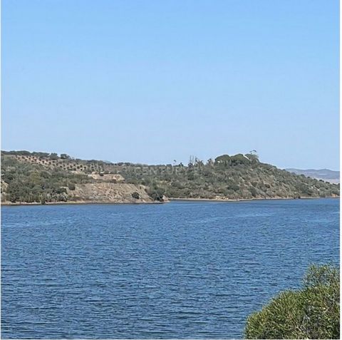 Excellent business opportunity in Pedrogão. Property consisting of two matrix articles 7ha + 2.2ha, where you will find holm oak, olive trees, eucalyptus and with extreme on the Guadiana River. Ideal property for placing livestock, or even for growin...