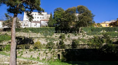 Unique Opportunity in the Heart of Porto! We present you a magnificent building, located next to Jardim da Cordoaria, which is much more than a simple property - it is a lifestyle! This building has ground floor, first floor and attic. It has a T1 on...