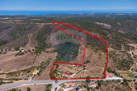 Description SKU: T-012 It is in the center of the municipality of Aljezur, more specifically in Moinho da Légua, Alfambras, next to the N120 road that connects Lagos and Odeceixe, that you will find this rustic property of 6.5ha, with diversified far...