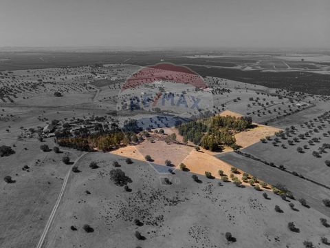 Description Land for sale with 3,775 ha in Vale de Aljustrel, Ferreira do Alentejo Endowed with good access, unobstructed views over the landscape, it is an excellent opportunity for those who want to invest in an effective change of life In these ar...