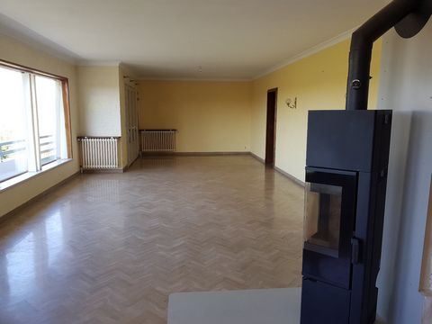 photo no. 19