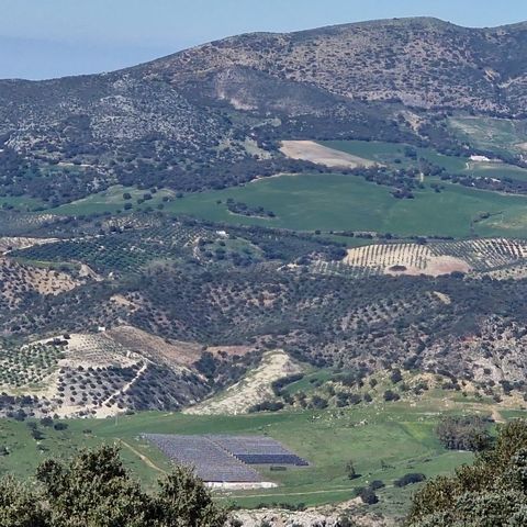 Discover this incredible opportunity to acquire a unique finca, located in an idyllic rural setting with breathtaking panoramic views of Olvera and between two charming provinces, Cadiz and Malaga. Highlights: Total area of 215,000 m2 of farmland, of...