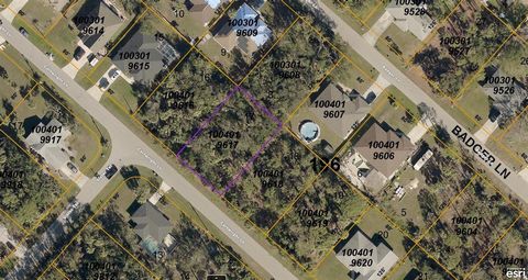 No HOAs with fees or deed restrictions or CDDs. Not on the North Port Scrub Jay list 08/03/23 - please reconfirm during due diligence. North Port is the 7th largest land mass in Florida-the 110th largest in the country!! The growth and potential are ...